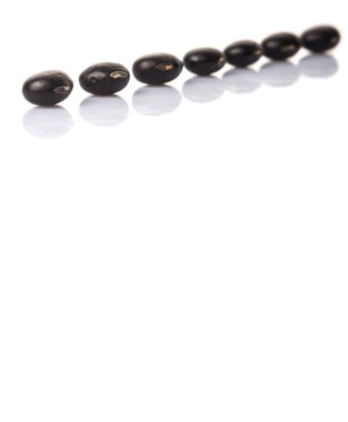 Beyaz arka plan üzerinde siyah fasulye