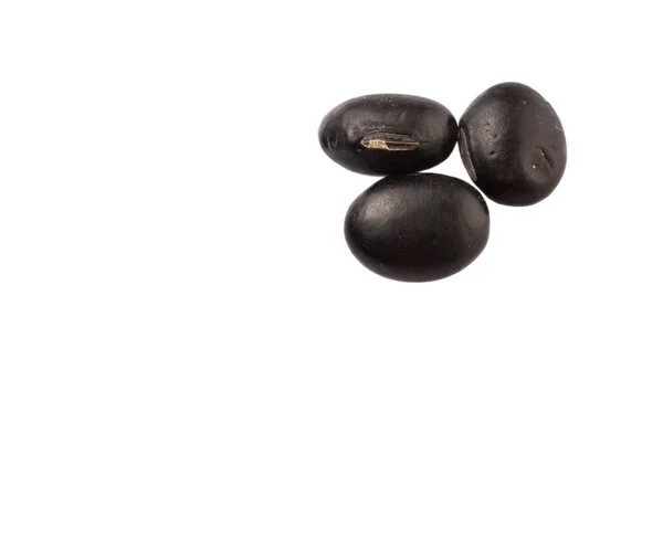 Чёрные бобы — стоковое фото