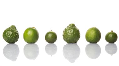 Kireç, makrut veya Güney Afrika'da bir kabile kireç ve beyaz arka plan üzerinde calamansi