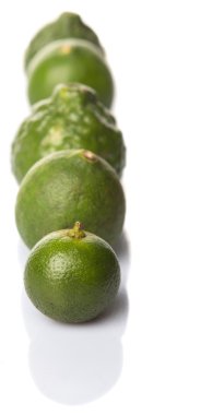 Kireç, makrut veya Güney Afrika'da bir kabile kireç ve beyaz arka plan üzerinde calamansi