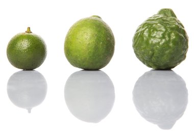 Kireç, makrut veya Güney Afrika'da bir kabile kireç ve beyaz arka plan üzerinde calamansi