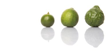 Kireç, makrut veya Güney Afrika'da bir kabile kireç ve beyaz arka plan üzerinde calamansi