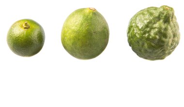 Kireç, makrut veya Güney Afrika'da bir kabile kireç ve beyaz arka plan üzerinde calamansi