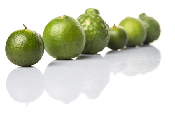 Lime, Makrut kalk och Calamansi — Stockfoto