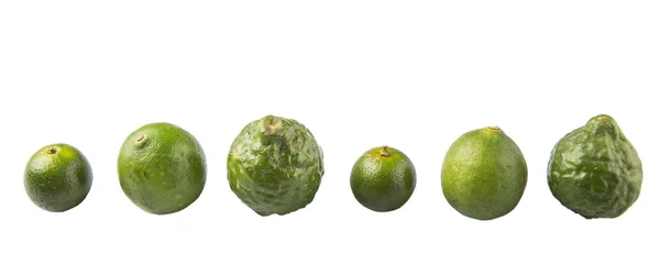 Lime, Makrut Lime e Calamansi — Foto Stock