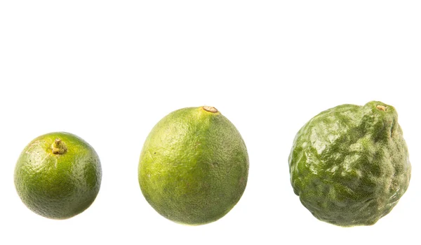 Lime, Makrut Lime et Calamansi — Photo