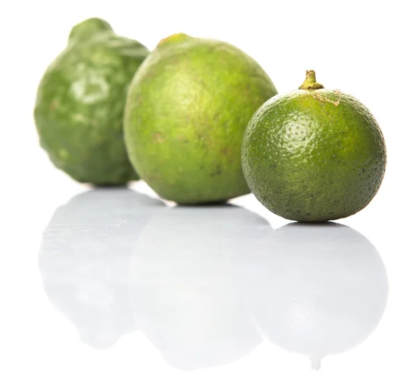 Lime, Makrut Lime et Calamansi — Photo