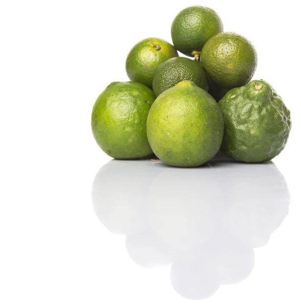 Lime, Makrut Lime et Calamansi — Photo