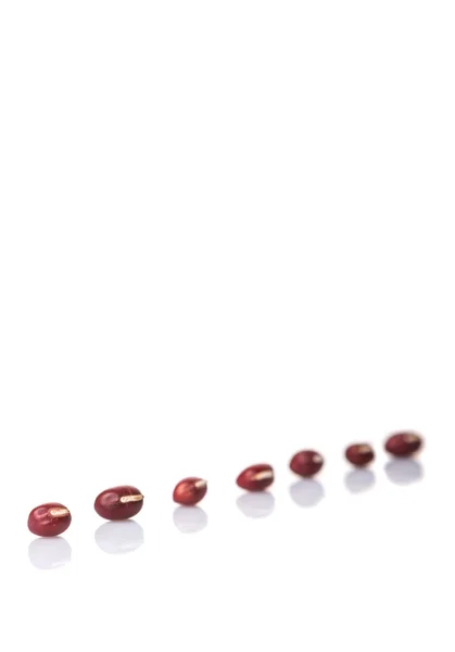 Красные бобы адзуки — стоковое фото