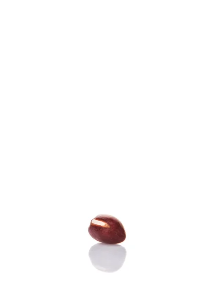Kacang Red adzuki — Stok Foto