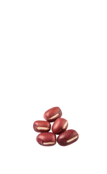 白い背景に赤い小豆 — ストック写真