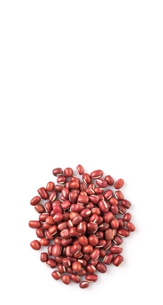 Красные бобы адзуки — стоковое фото