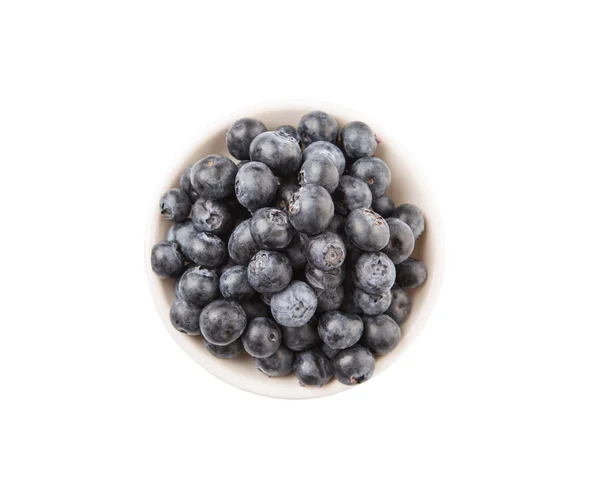 Blueberry Fruits — Stock Photo, Image