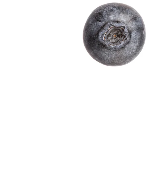 블루베리 과일 — 스톡 사진