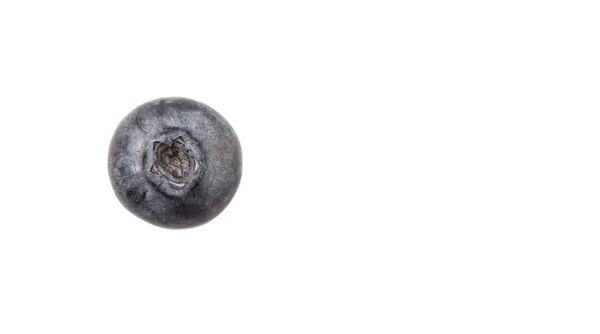 Buah Blueberry — Stok Foto