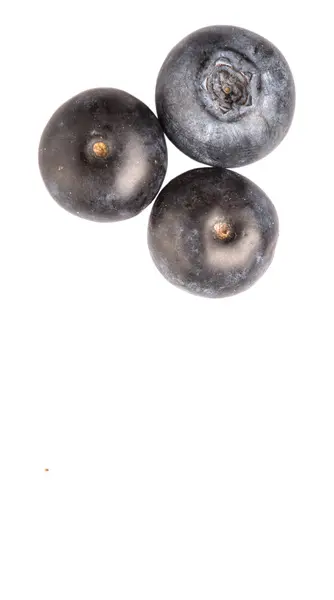 Blueberry Fruits — Stock Photo, Image