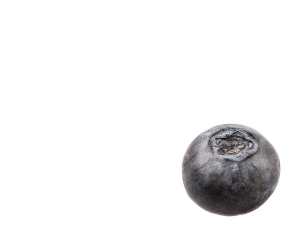 Blueberry Fruits — Stock Photo, Image