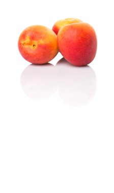 Olgun kayısı meyve