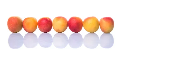 Ripe Apricot White Background — Stock Photo, Image
