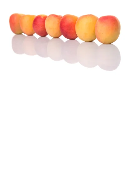 Rijp abrikoos fruit — Stockfoto