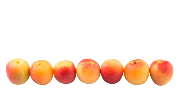 Спелые плоды абрикоса — стоковое фото