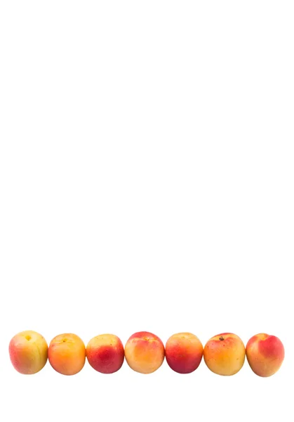 Fruta de albaricoque madura — Foto de Stock