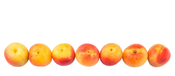 Modne aprikoser – stockfoto