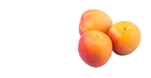 Ripe Apricot Fruit — Stock Photo, Image