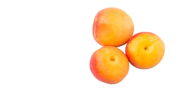 Fruta de damasco madura — Fotografia de Stock