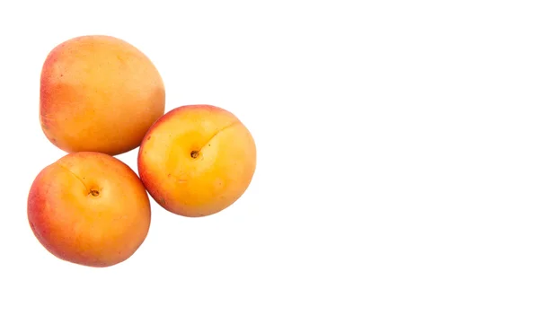 Ripe Apricot Fruit — Stock Photo, Image