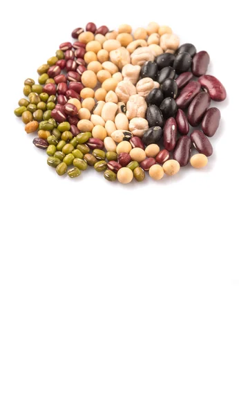 豆类品种 — 图库照片