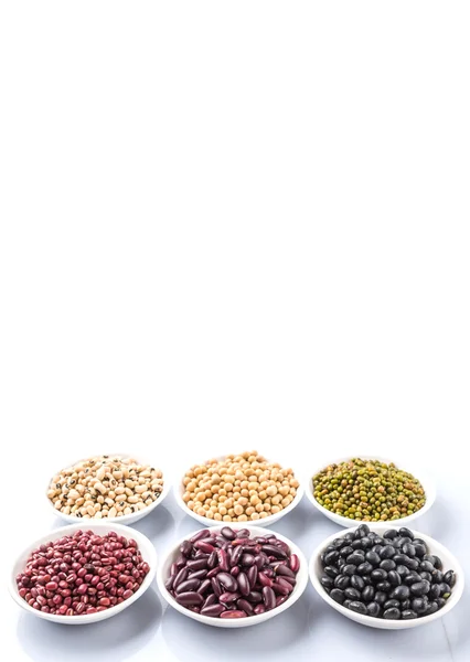 Beans Variety — Stock Photo, Image