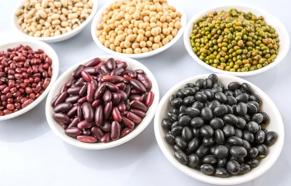 Beans Variety — Stock Photo, Image