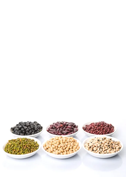 다양 한 콩 — 스톡 사진