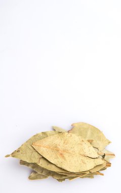 kurutulmuş defne yaprağı