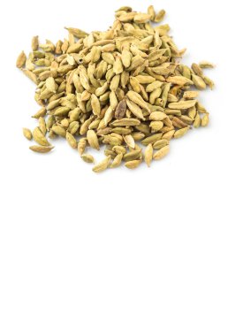 Kakule baharat beyaz arka plan üzerinde