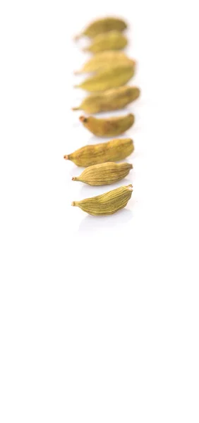 Especiarias Cardamomo — Fotografia de Stock