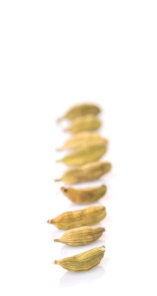 Κάρδαμο μπαχαρικά — Φωτογραφία Αρχείου