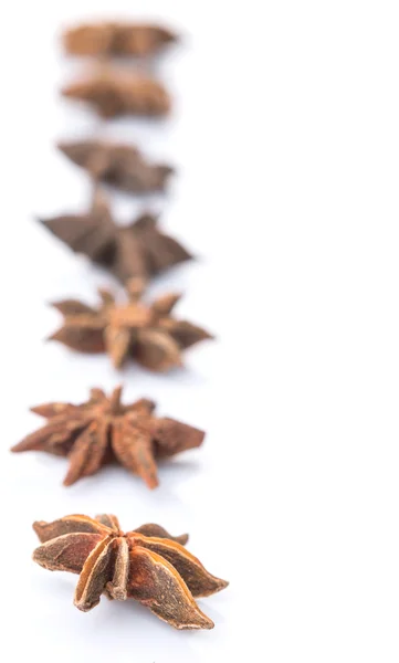 八角茴香香料 — 图库照片