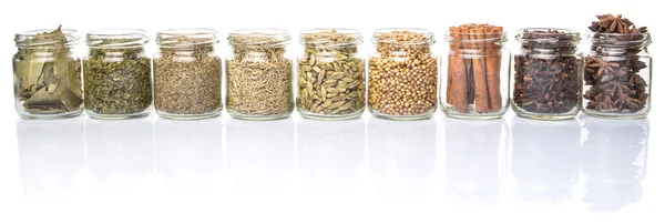 Herbs And Spices In Mason Jars — 图库照片