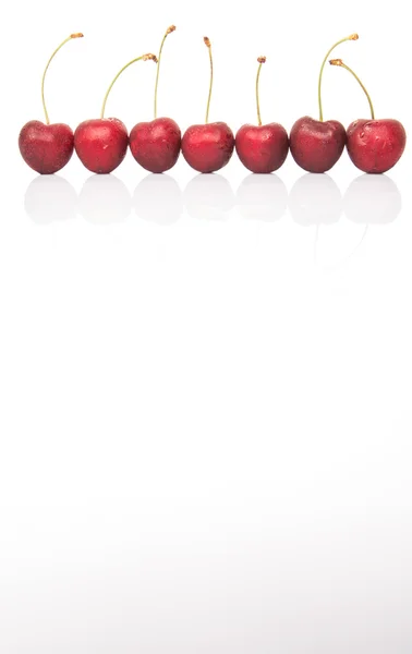 Frutos de cereja vermelha — Fotografia de Stock