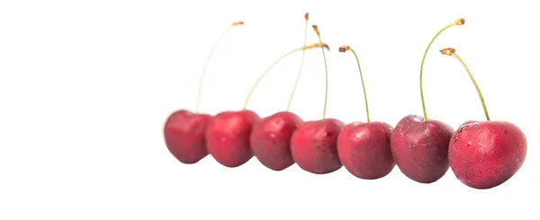 Kırmızı Kiraz meyve — Stok fotoğraf