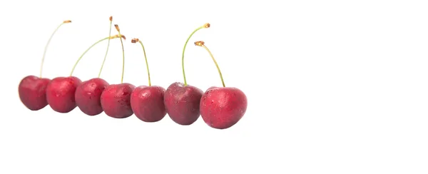 Czerwone Owoce Wiśni Białym Tle — Zdjęcie stockowe