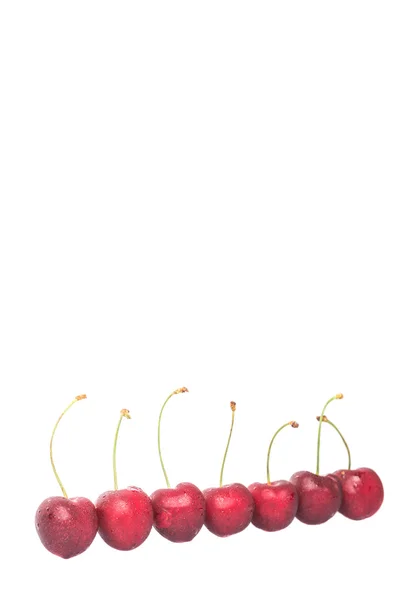 Red Cherry Fruit White Background — Stock Photo, Image
