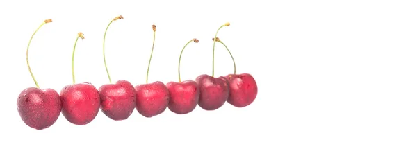 Fruta Cereza Roja Sobre Fondo Blanco — Foto de Stock