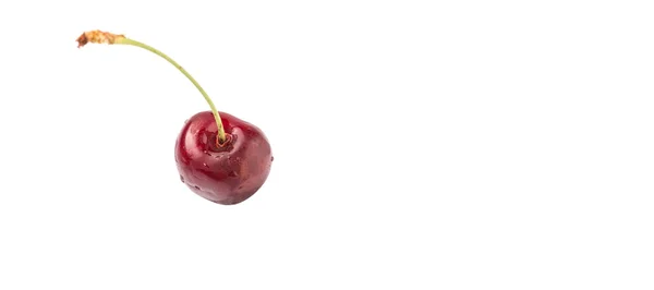 Czerwone owoce wiśni — Zdjęcie stockowe