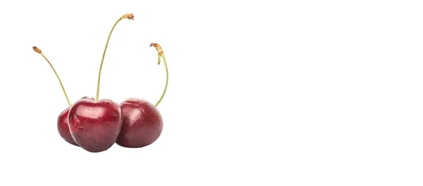 Fruta Cereza Roja Sobre Fondo Blanco — Foto de Stock