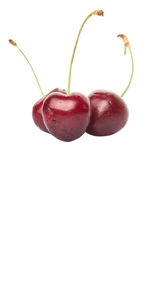 Fruta Cereza Roja Sobre Fondo Blanco —  Fotos de Stock