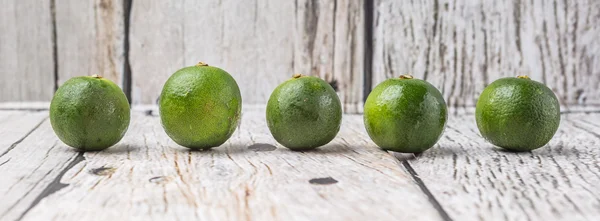 Calamansi Citrus — Stock Photo, Image