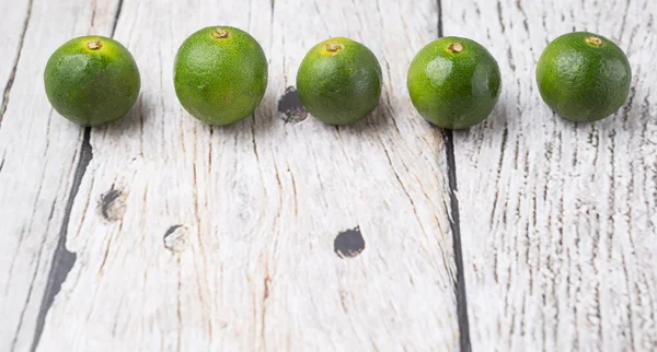 Calamansi Citrus — Stockfoto